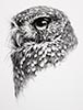 Vanessa Foley - (Owl)